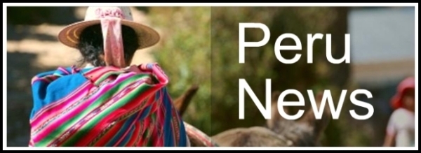 Perú Support Group: Informe Destaca Problemas y Desafíos en Perú